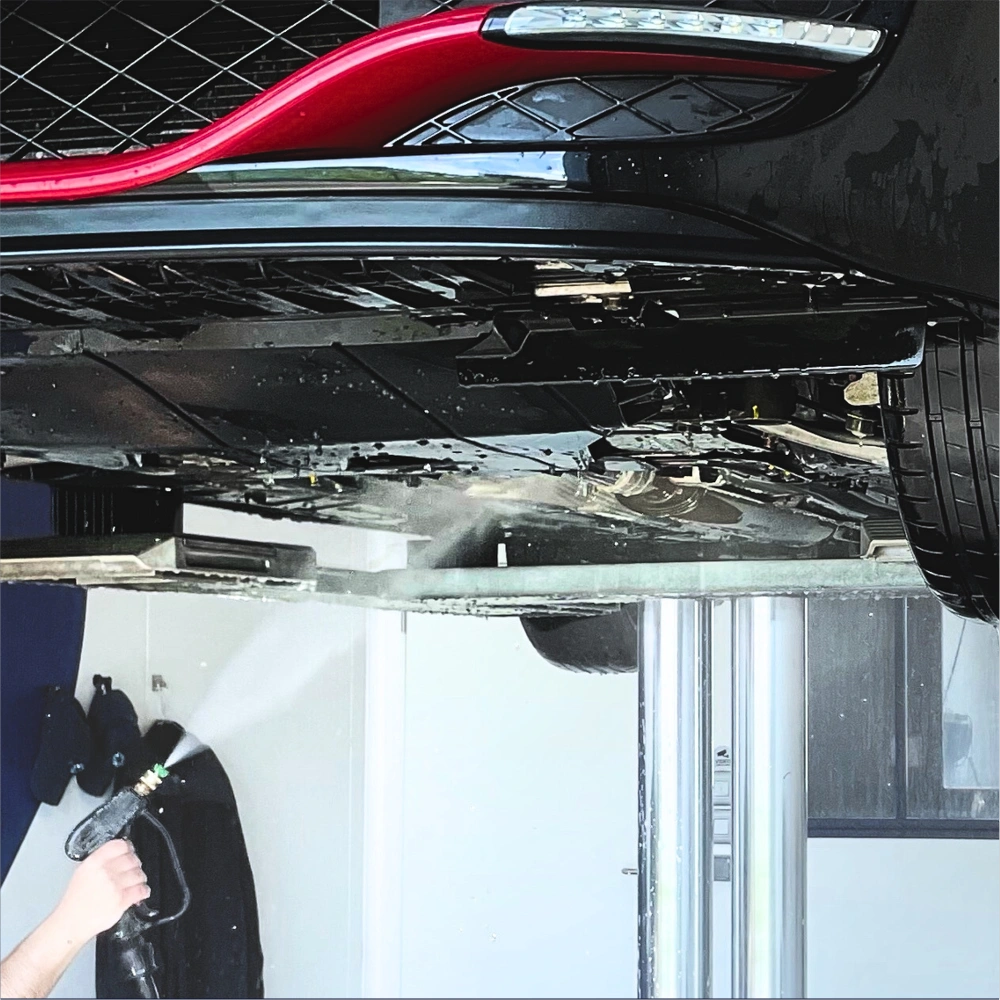 Lavage chassis